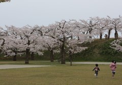 五稜郭公園