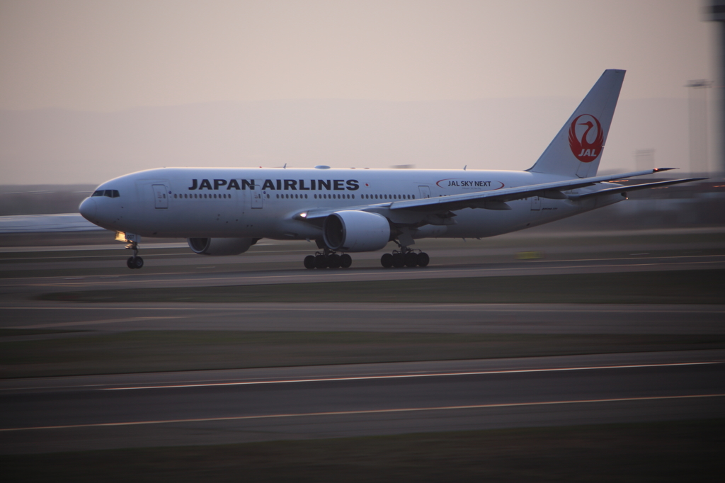 日本航空 Boeing 777-200 (JA007D)