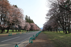 静内二十間道路