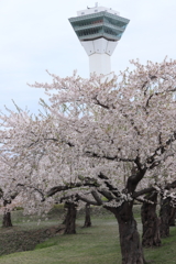 五稜郭公園とタワー