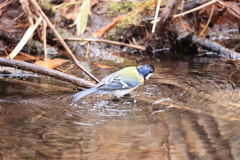狙い定めて・・・