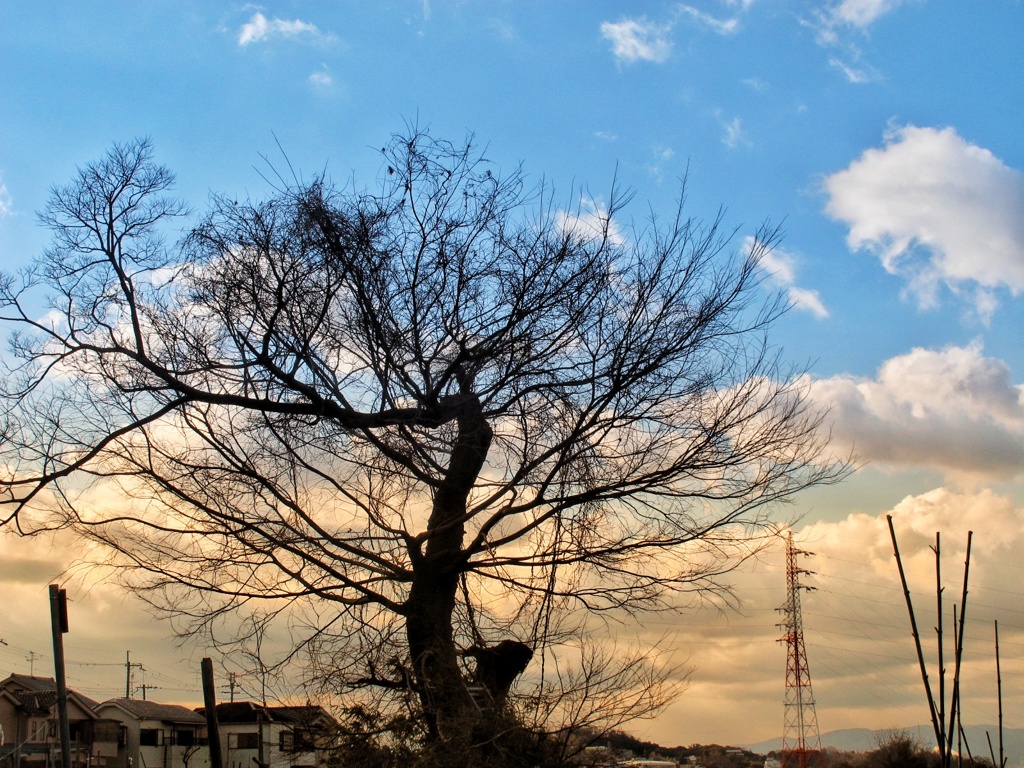 冬空へ