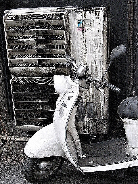 真っ白だったのに