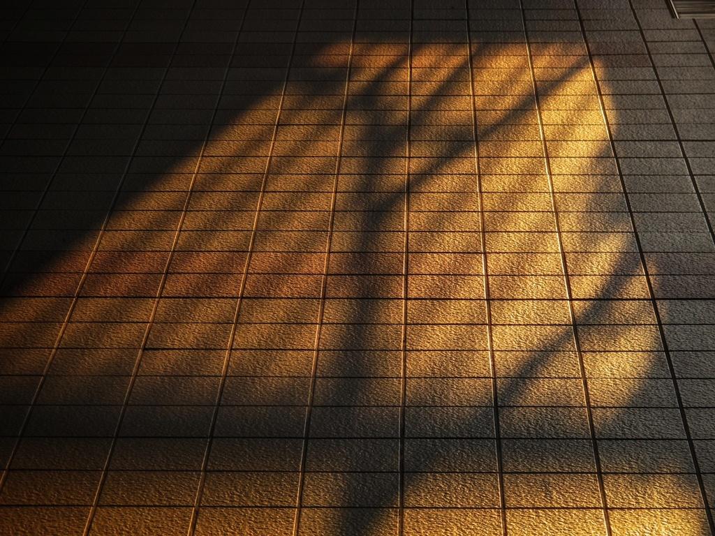 休日の朝 