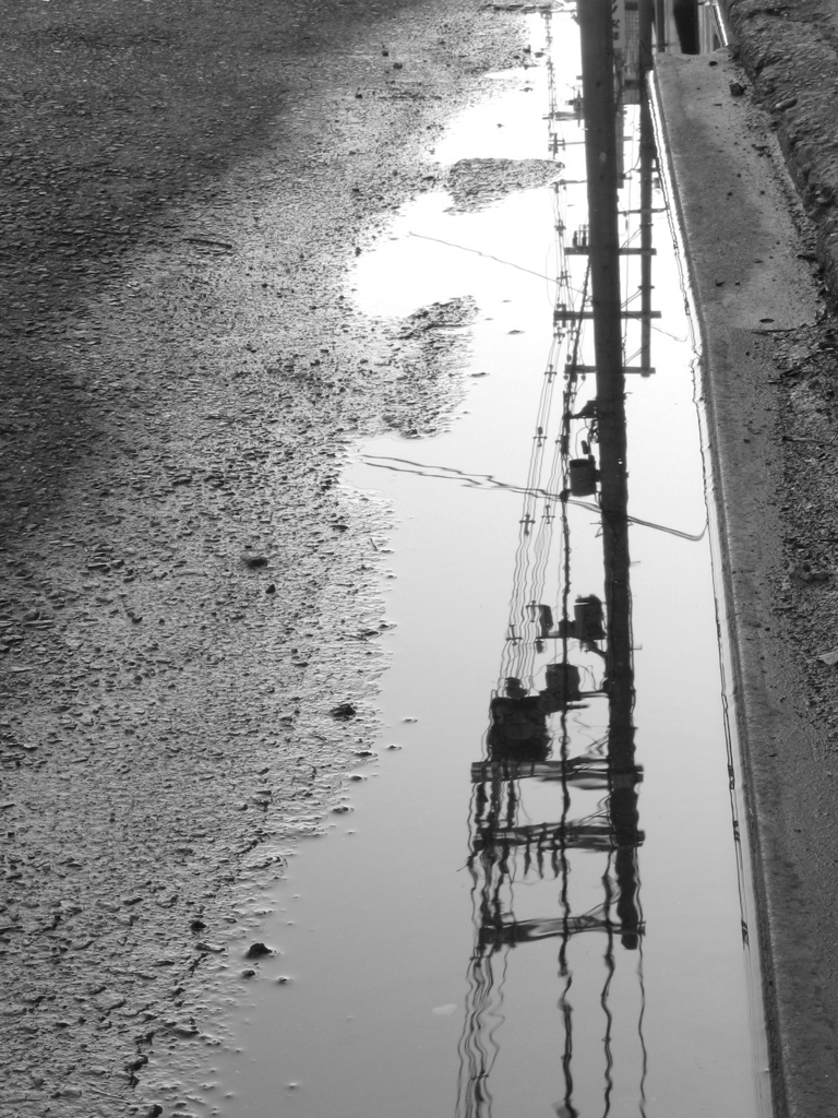 雨上がりの朝