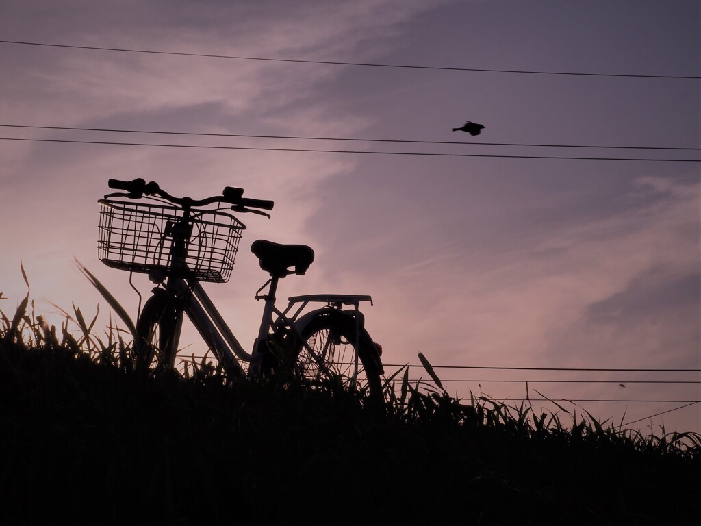 夕刻の風景