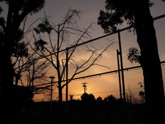 夕陽
