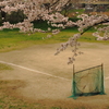 野球小僧たちの桜