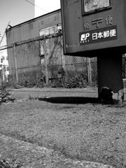 我慢中