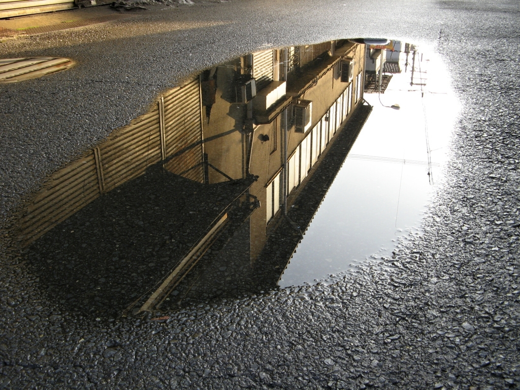 雨上がりの朝　Ⅳ