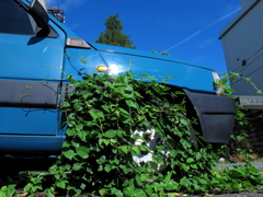 青い車です