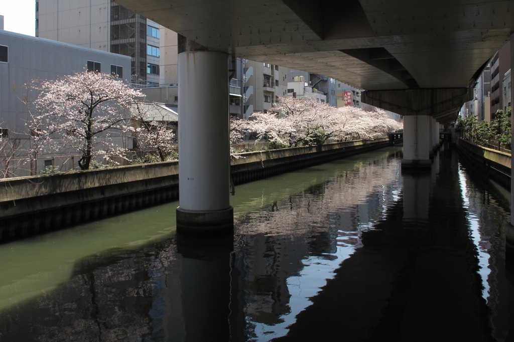 道頓堀川