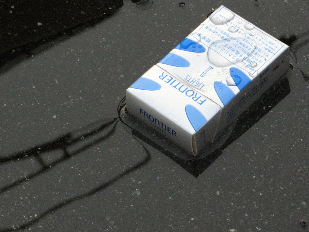 雨上がりの朝　Ⅲ
