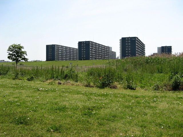 休日河川敷５