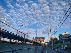 今朝の空