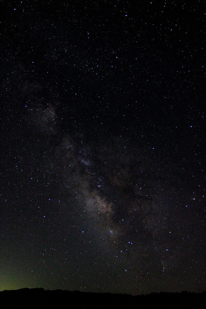 写った（*^_^*）