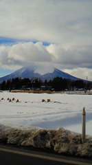 山