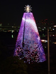2010 christmas @ お台場