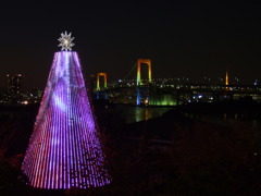 2010 christmas @ お台場