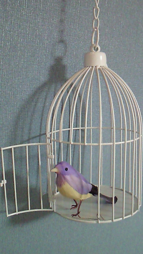 ｂｉｒｄ