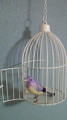 ｂｉｒｄ