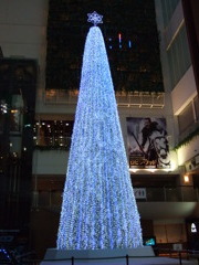 2010 christmas @ お台場
