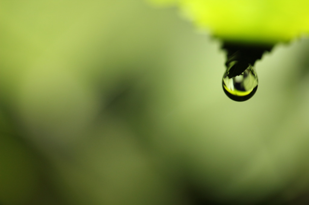 水光　２