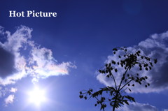 冬のある空