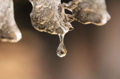 つららと水滴