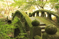 古橋の緑