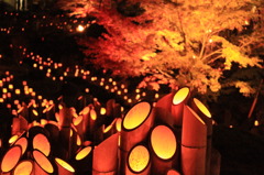 佐賀県　小城市　清水の滝　竹灯り祭り
