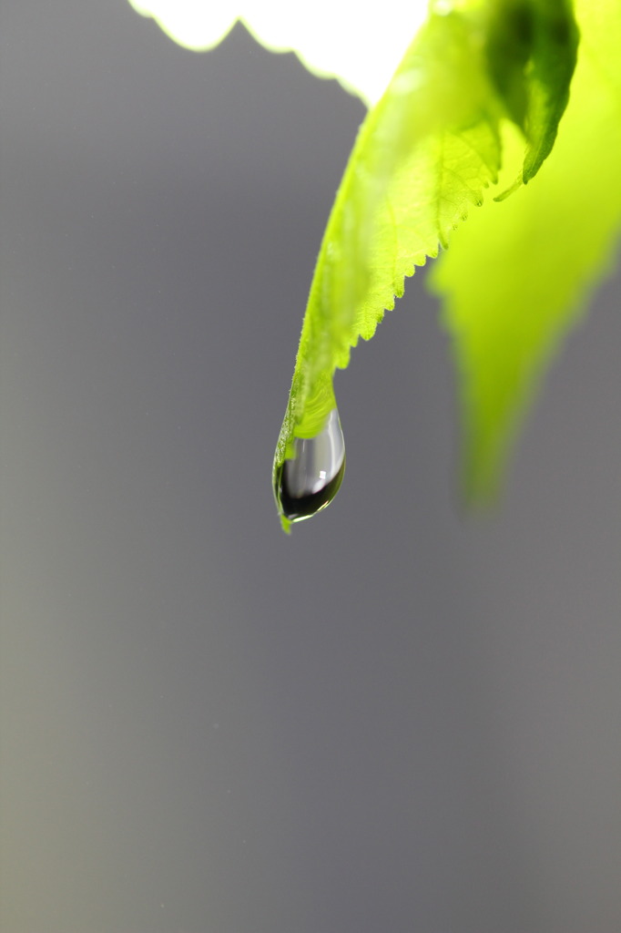 水光　３