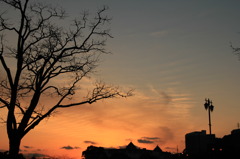 冬の夕焼け