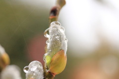 雨上がり
