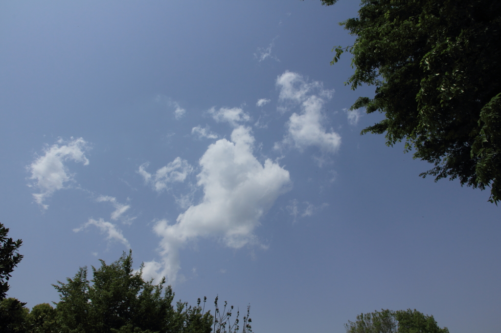 雲
