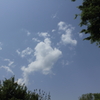 雲