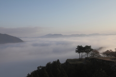 大海原