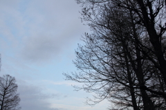 夕方の曇り空