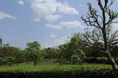 青空