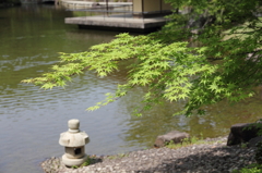 池