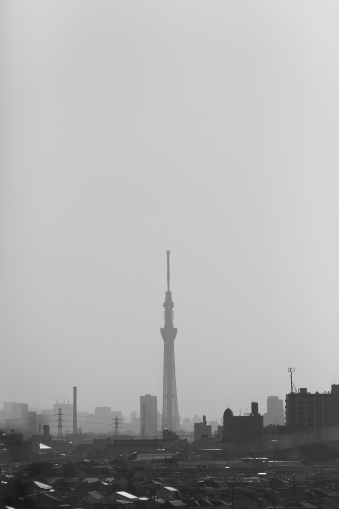 スカイツリー