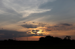 夕日