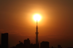 ダイヤモンドツリー