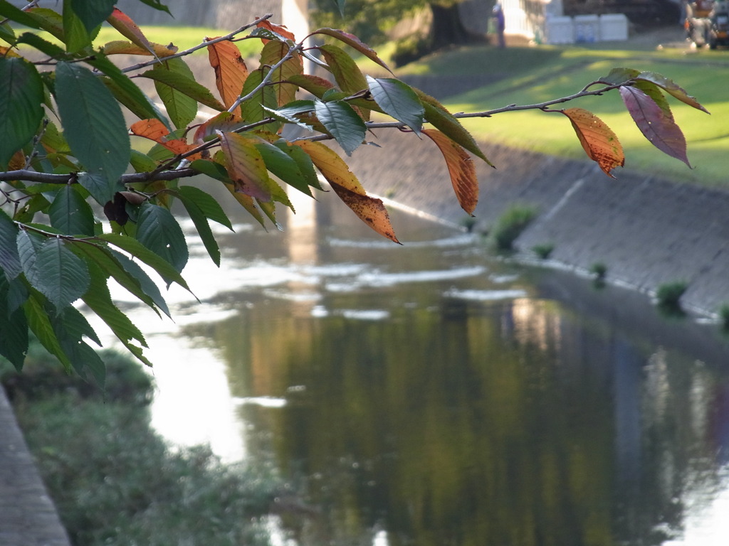 熊本城下　長塀通り