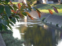 熊本城下　長塀通り