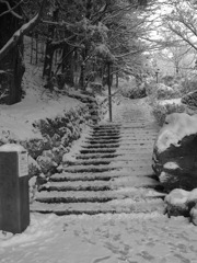 東照宮参道にて