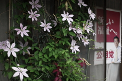 花と政治