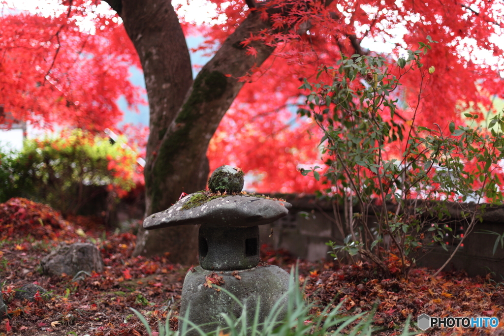 晩秋・郡上八幡