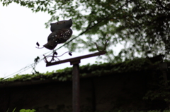 梟の館界隈
