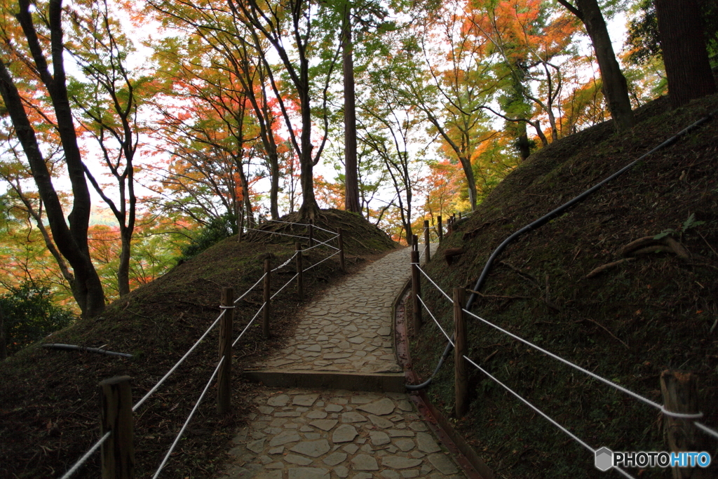 紅葉の散歩道